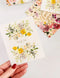 'Thank You Very Much - White Ranunculus' Card by Bespoke Letterpress. Australian Art Prints and Homewares. Green Door Decor. www.greendoordecor.com.au
