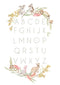 ABC - Flora & Fauna alphabet print, by Sailah Lane. Australian Art Prints. Green Door Decor. www.greendoordecor.com.au