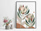 Protea Abstract print 2, by Lamai Anne. Australian Art Prints. Green Door Decor. www.greendoordecor.com.au