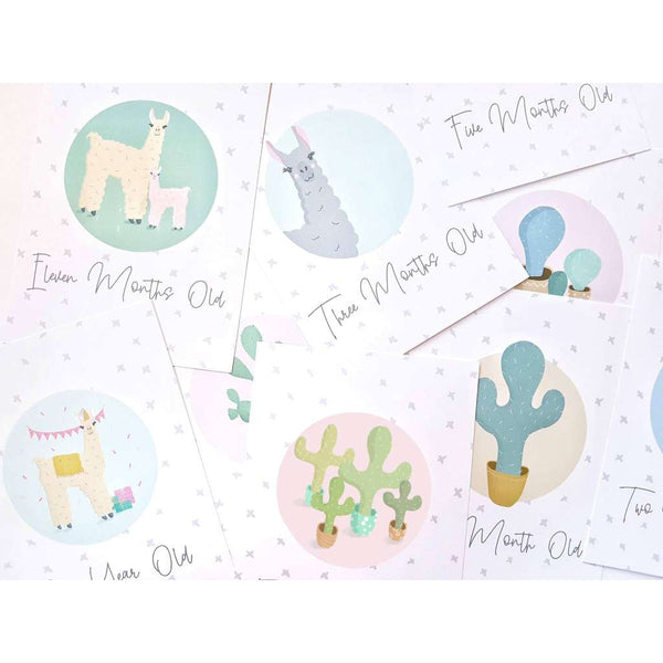 Baby Milestone Cards by Cassie Zaccardo Art. Australian Art Prints and Homewares. Green Door Decor. www.greendoordecor.com.au