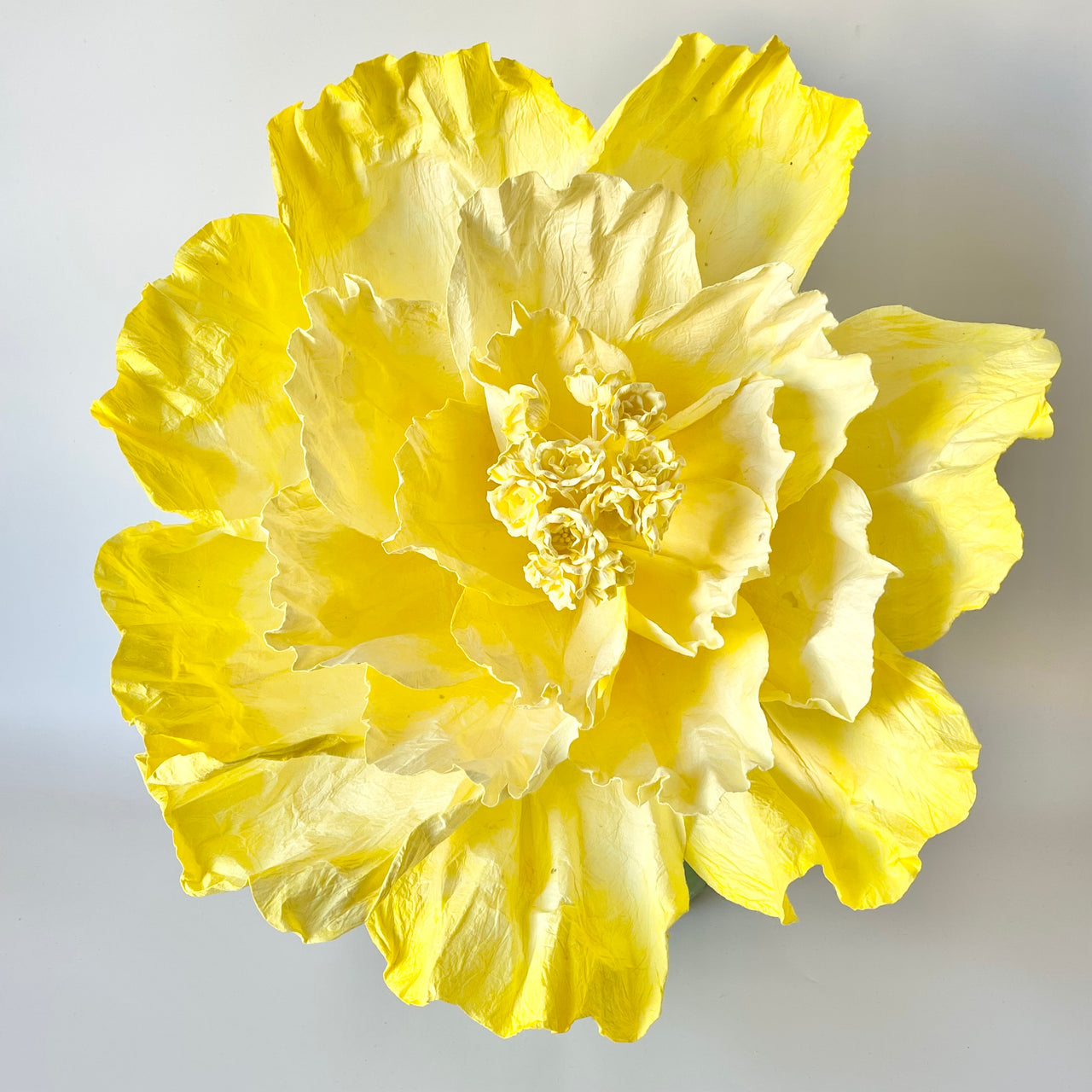 Paper Flowers - XL Primrose Flower | Yellow by Nibbanah. Australian Art Prints, Gifts, Fashion and Homewares. Green Door Decor. www.greendoordecor.com.au