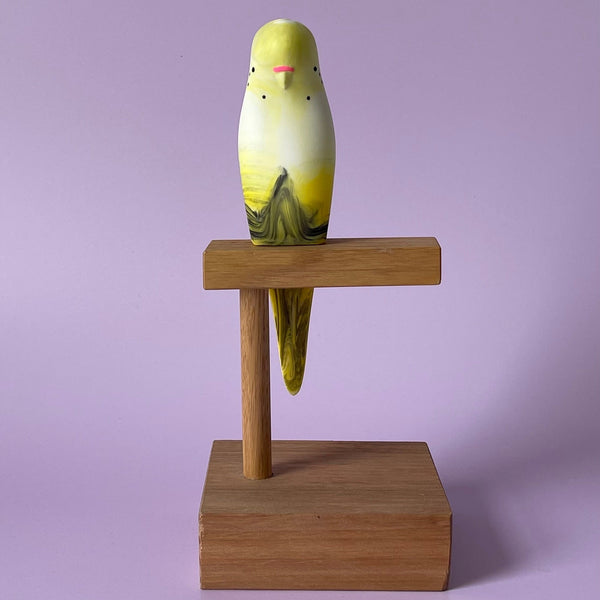 Resin Budgerigar #5 by Pete Cromer. Australian Art Prints and Homewares. Green Door Decor. www.greendoordecor.com.au