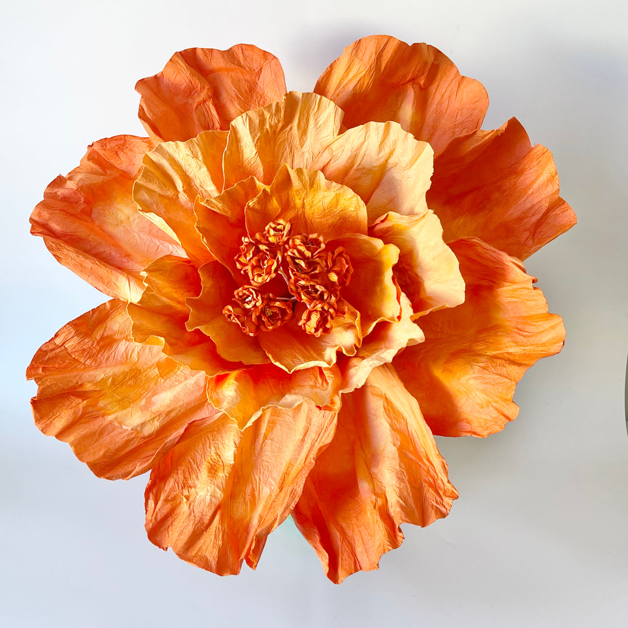 Paper Flowers - XL Primrose | Orange by Nibbanah. Australian Art Prints, Gifts, Fashion and Homewares. Green Door Decor. www.greendoordecor.com.au