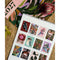 2027 Grotti Lotti Calendar | A3. Australian Art Prints, Gifts, Fashion and Homewares. Green Door Decor. www.greendoordecor.com.au