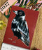 2027 Grotti Lotti Calendar | A3. Australian Art Prints, Gifts, Fashion and Homewares. Green Door Decor. www.greendoordecor.com.au