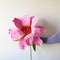 Miss Daisy Paper Flower XL | Pink. Australian Art Prints and Homewares. Green Door Decor. www.greendoordecor.com.au