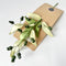 Paper Eucalyptus Long Leaf Gum Stem