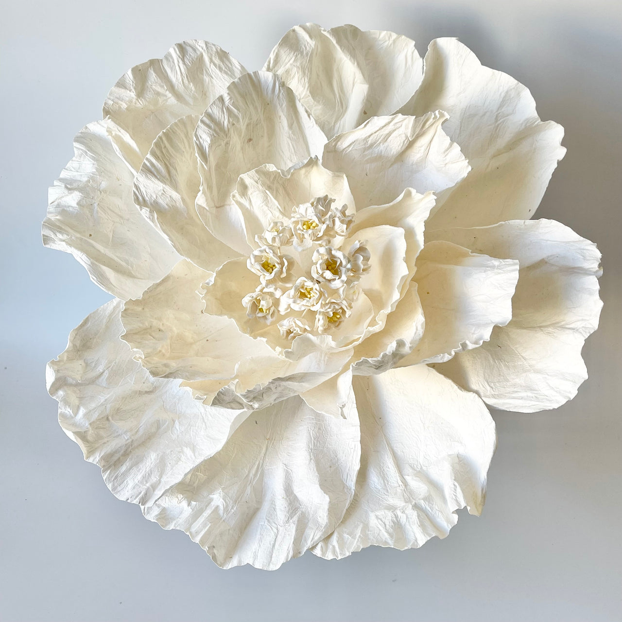 Paper Flowers - XL Primrose Flower | White by Nibbanah. Australian Art Prints, Gifts, Fashion and Homewares. Green Door Decor. www.greendoordecor.com.au