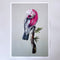 'Floyd the Galah' Limited Edition Print by Vixen Design. Australian Art Prints and Homewares. Green Door Decor. www.greendoordecor.com.au