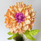 Paper Flowers - Single Stem XL Dahlia | Apricot by Nibbanah. Australian Art Prints, Gifts, Fashion and Homewares. Green Door Decor. www.greendoordecor.com.au