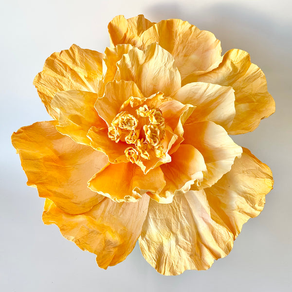 Paper Flowers - XL Primrose Flower | Apricot by Nibbanah. Australian Art Prints, Gifts, Fashion and Homewares. Green Door Decor. www.greendoordecor.com.au