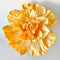 Paper Flowers - XL Primrose Flower | Apricot by Nibbanah. Australian Art Prints, Gifts, Fashion and Homewares. Green Door Decor. www.greendoordecor.com.au