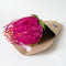Paper Flowers - Single Stem Native - Leucospermum | Magenta Pink by Nibbanah. Australian Art Prints, Gifts, Fashion and Homewares. Green Door Decor. www.greendoordecor.com.au