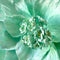 Paper Flowers - XL Primrose Flower | Tiffany Blue by Nibbanah. Australian Art Prints, Gifts, Fashion and Homewares. Green Door Decor. www.greendoordecor.com.au