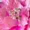 Paper Flowers - XL Primrose Flower | Pink by Nibbanah. Australian Art Prints, Gifts, Fashion and Homewares. Green Door Decor. www.greendoordecor.com.au
