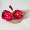 Paper Flowers - Poppy Garden Bunch | Magenta Pink by Nibbanah. Australian Art Prints, Gifts, Fashion and Homewares. Green Door Decor. www.greendoordecor.com.au
