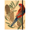 A5 Journal | Daniella Germain | Rosella with Banksia by Greenigo. Australian Art Prints and Homewares. Green Door Decor. www.greendoordecor.com.au