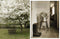 A Country Style Book by Harriet Thistlethwayte. Australian Art Prints, Gifts, Fashion and Homewares. Green Door Decor. www.greendoordecor.com.au