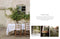 A Country Style Book by Harriet Thistlethwayte. Australian Art Prints, Gifts, Fashion and Homewares. Green Door Decor. www.greendoordecor.com.au