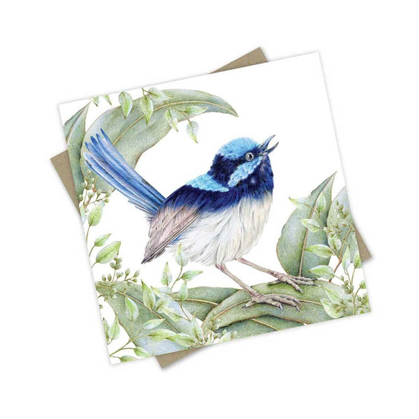 Greeting Card | Superb Fairy Wren - A Fairy Wren Delight by Popcorn Blue. Australian Art Prints, Gifts, Fashion and Homewares. Green Door Decor. www.greendoordecor.com.au