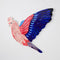 Wall Art | Aerial Galah by Jones and Co. Australian Art Prints and Homewares. Green Door Decor. www.greendoordecor.com.au