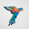 Wall Art | Aerial Lorikeet by Jones and Co. Australian Art Prints and Homewares. Green Door Decor. www.greendoordecor.com.au