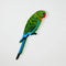 Wall Art | Aerial Parrot by Jones and Co. Australian Art Prints and Homewares. Green Door Decor. www.greendoordecor.com.au