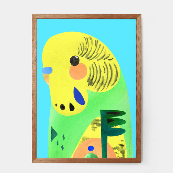 A4 Art Print - Budgerigar | Pete Cromer. Australian Art Prints and Homewares. Green Door Decor. www.greendoordecor.com.au