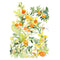 'Citrus' Fine Art Print | Choose Arts by Qing Zhang. Australian Art Prints and Homewares. Green Door Decor. www.greendoordecor.com.au