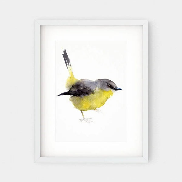 'Eastern Yellow Robin' Fine Art Print | Choose Arts by Qing Zhang. Australian Art Prints and Homewares. Green Door Decor. www.greendoordecor.com.au