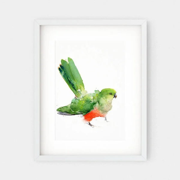 'King Parrot Female' Fine Art Print | Choose Arts by Qing Zhang. Australian Art Prints and Homewares. Green Door Decor. www.greendoordecor.com.au