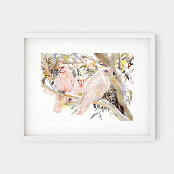 'Little Corellas' Fine Art Print | Choose Arts by Qing Zhang. Australian Art Prints and Homewares. Green Door Decor. www.greendoordecor.com.au