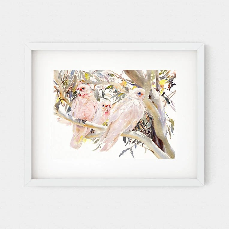 'Little Corellas' Fine Art Print | Choose Arts by Qing Zhang. Australian Art Prints and Homewares. Green Door Decor. www.greendoordecor.com.au