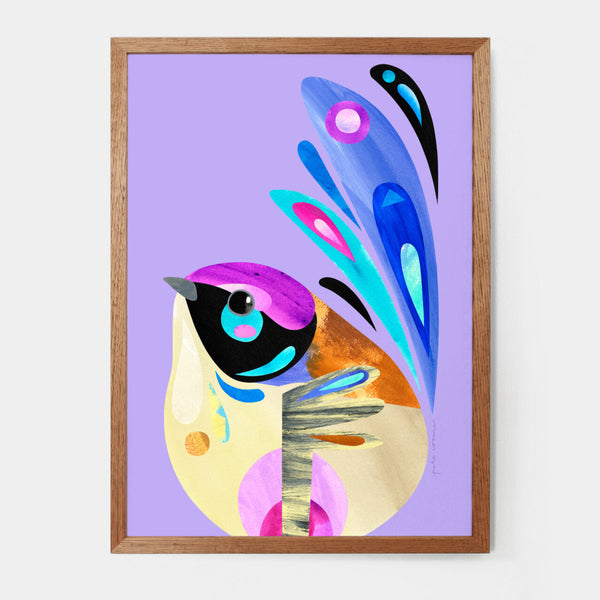 A4 Art Print - Splendid Fairy-Wren | Pete Cromer. Australian Art Prints and Homewares. Green Door Decor. www.greendoordecor.com.au