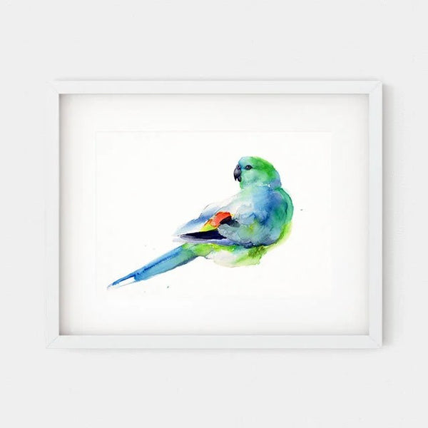 'Red-Rumped Parrot' Fine Art Print | Choose Arts by Qing Zhang. Australian Art Prints and Homewares. Green Door Decor. www.greendoordecor.com.au