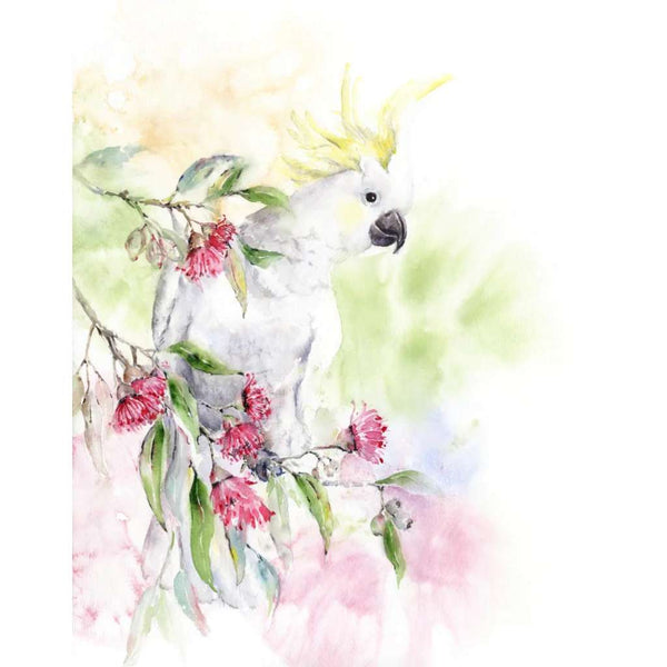 'Sulphur-Crested Cockatoo' Fine Art Print | Choose Arts by Qing Zhang. Australian Art Prints and Homewares. Green Door Decor. www.greendoordecor.com.au