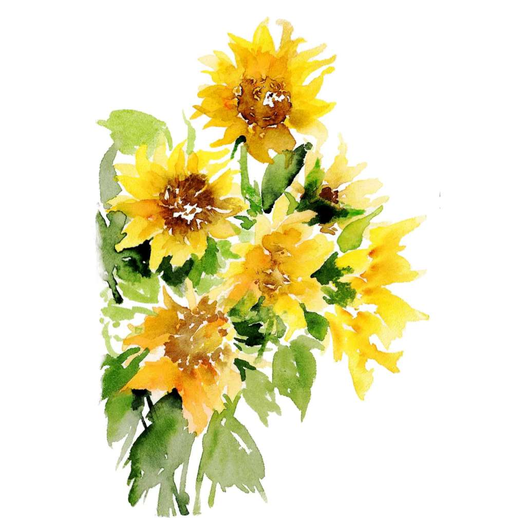 'Sunflower' Fine Art Print | Choose Arts by Qing Zhang. Australian Art Prints and Homewares. Green Door Decor. www.greendoordecor.com.au