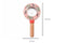 Aussie Backyard Wildlife Magnifying Glass | Various Designs by Eleganter Australia. Australian Art Prints, Gifts, Fashion and Homewares. Green Door Decor. www.greendoordecor.com.au