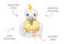Aussie Buddies Animal Roly-Poly | Various Animals by Eleganter Australia. Australian Art Prints, Gifts, Fashion and Homewares. Green Door Decor. www.greendoordecor.com.au