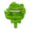 Australia Fair Brooch | Erstwilder. Australian Art Prints, Gifts, Fashion and Homewares. Green Door Decor. www.greendoordecor.com.au
