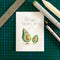 Avo Great Father's Day | Greeting Card by Well Drawn. Australian Art Prints and Homewares. Green Door Decor. www.greendoordecor.com.au