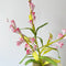 Paper Flowers - Wattle Stem | Pink by Nibbanah. Australian Art Prints, Gifts, Fashion and Homewares. Green Door Decor. www.greendoordecor.com.au