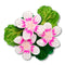 Austral Stork's-Bill Brooch | Erstwilder X Royal Botanic Gardens Victoria. Australian Art Prints, Gifts, Fashion and Homewares. Green Door Decor. www.greendoordecor.com.au