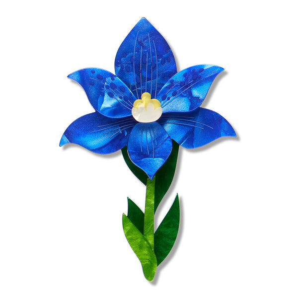 Spotted Sun-Orchid Brooch | Erstwilder X Royal Botanic Gardens Victoria. Australian Art Prints, Gifts, Fashion and Homewares. Green Door Decor. www.greendoordecor.com.au