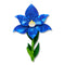 Spotted Sun-Orchid Brooch | Erstwilder X Royal Botanic Gardens Victoria. Australian Art Prints, Gifts, Fashion and Homewares. Green Door Decor. www.greendoordecor.com.au