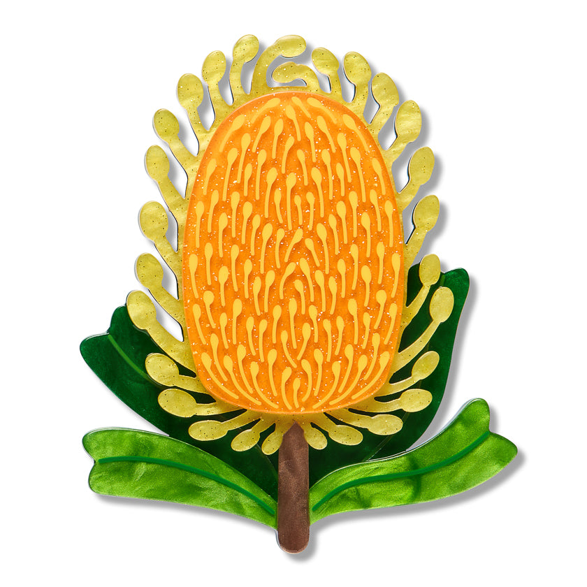 Mountain Banksia Brooch | Erstwilder X Royal Botanic Gardens Victoria. Australian Art Prints, Gifts, Fashion and Homewares. Green Door Decor. www.greendoordecor.com.au