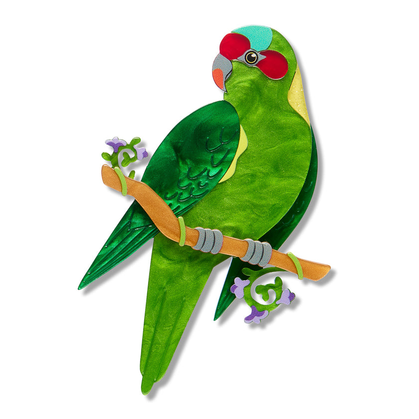 Musk Lorikeet Brooch | Erstwilder X Royal Botanic Gardens Victoria. Australian Art Prints, Gifts, Fashion and Homewares. Green Door Decor. www.greendoordecor.com.au