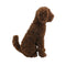 BAILEY Topiary Cypress Dog (UV Treated) - Chocolate 60cm by HG Living. Australian Art Prints, Gifts, Fashion and Homewares. Green Door Decor. www.greendoordecor.com.au