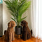 BAILEY Topiary Cypress Dog (UV Treated) - Chocolate 60cm by HG Living. Australian Art Prints, Gifts, Fashion and Homewares. Green Door Decor. www.greendoordecor.com.au