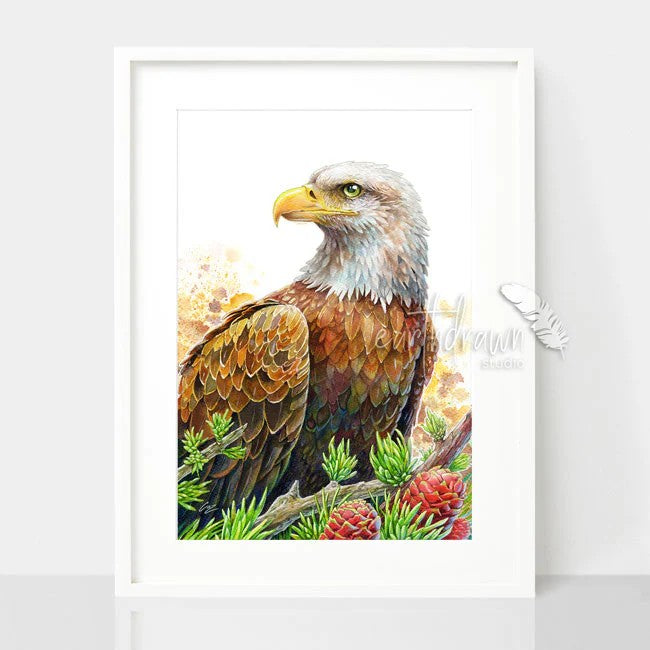 'Bald Eagle and Conifers' Art Print by Earthdrawn Studio. Australian Art Prints and Homewares. Green Door Decor. www.greendoordecor.com.au